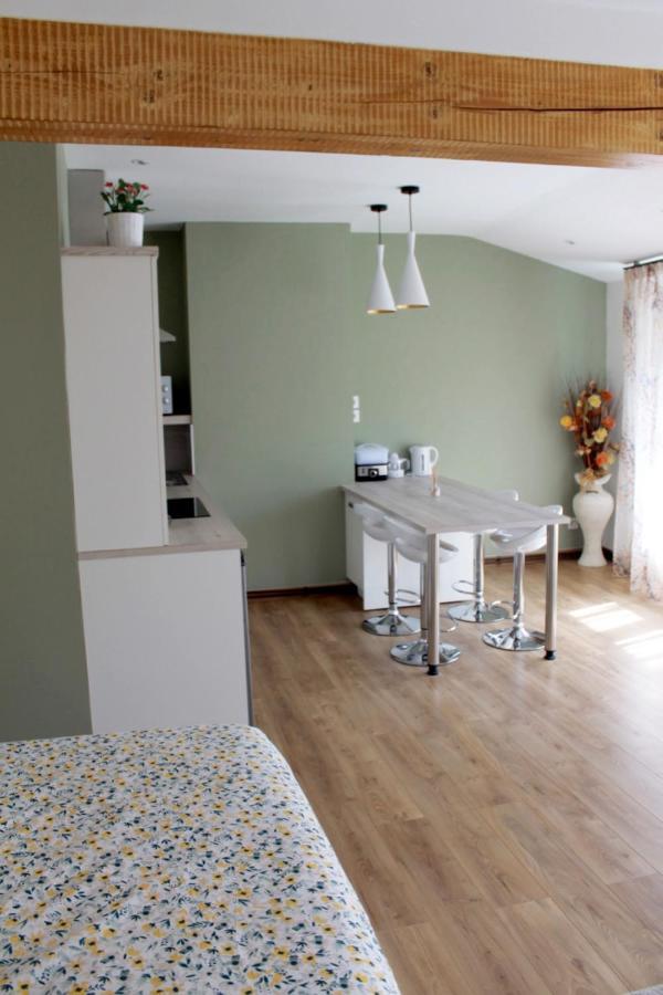 Saint Etienne : Appartement Chateaucreux 40 M2 Eksteriør bilde