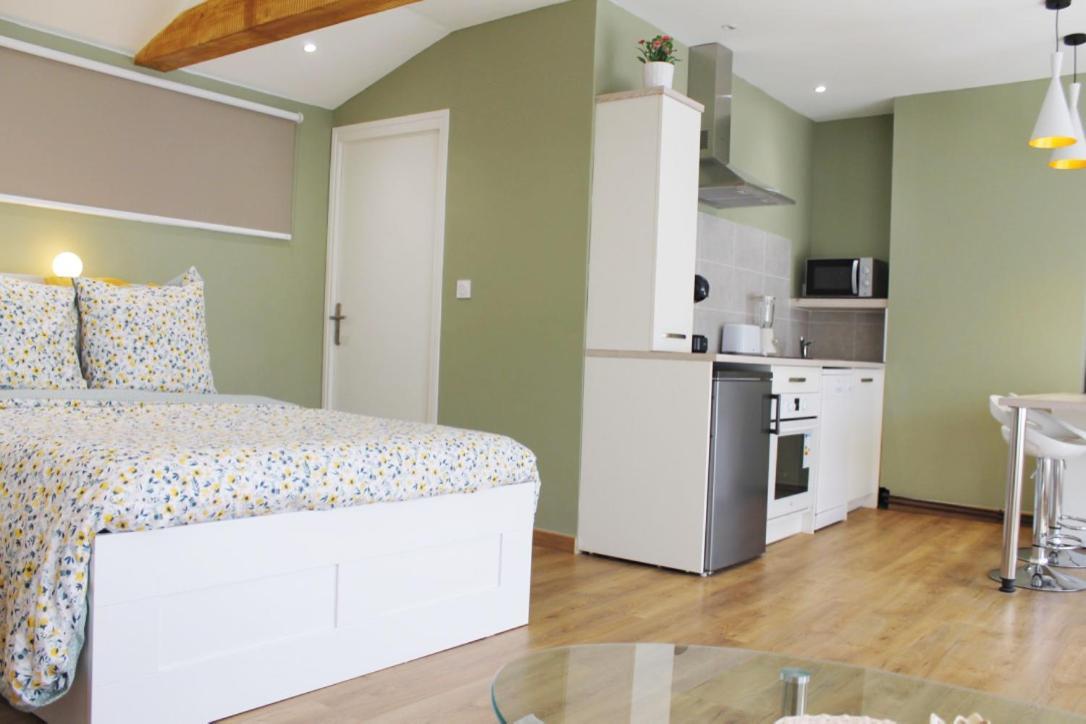 Saint Etienne : Appartement Chateaucreux 40 M2 Eksteriør bilde