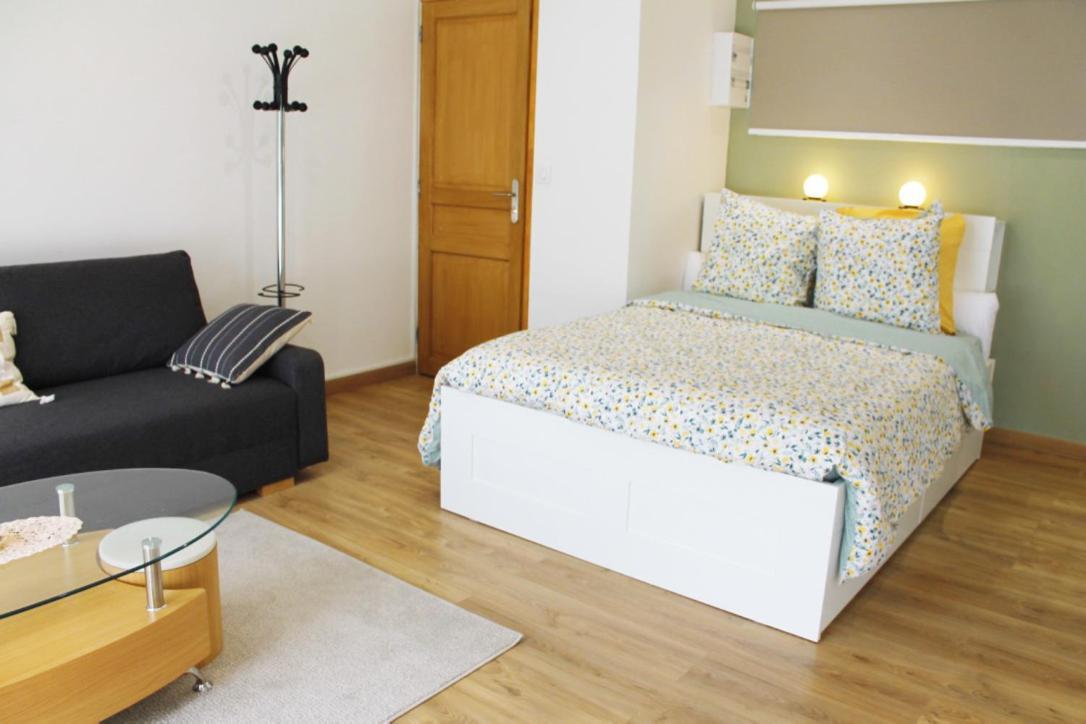 Saint Etienne : Appartement Chateaucreux 40 M2 Eksteriør bilde