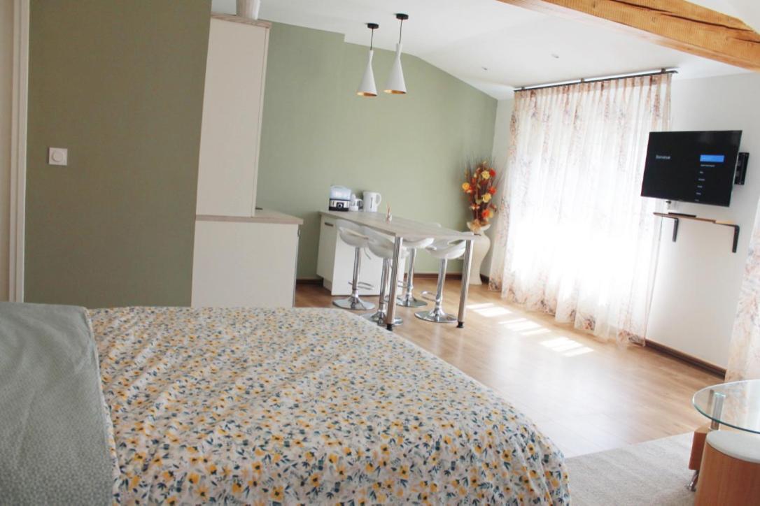 Saint Etienne : Appartement Chateaucreux 40 M2 Eksteriør bilde