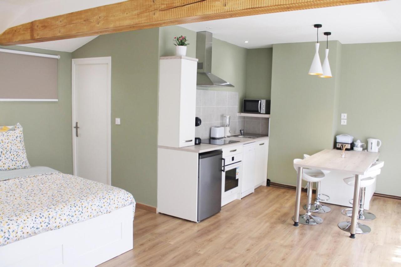 Saint Etienne : Appartement Chateaucreux 40 M2 Eksteriør bilde