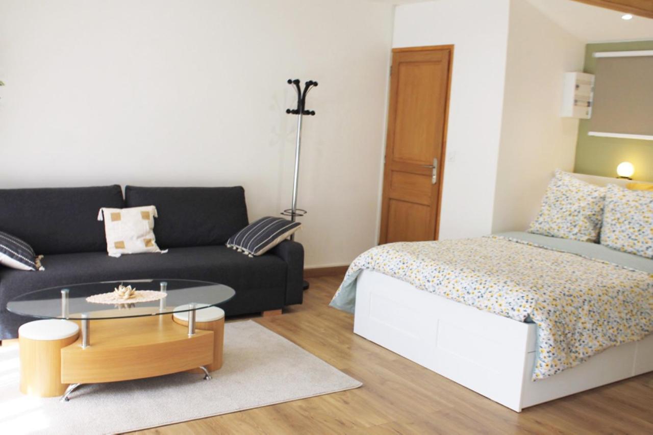 Saint Etienne : Appartement Chateaucreux 40 M2 Eksteriør bilde
