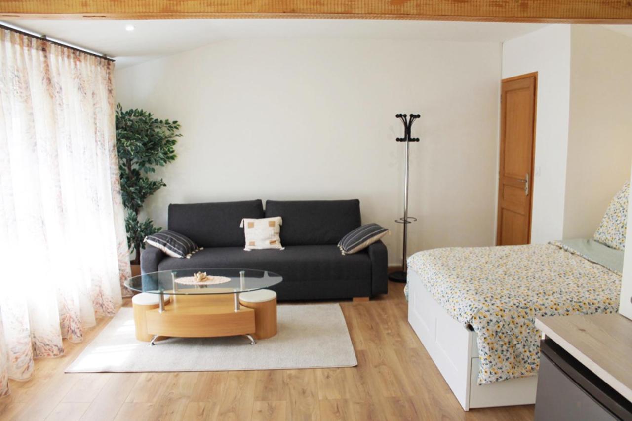 Saint Etienne : Appartement Chateaucreux 40 M2 Eksteriør bilde